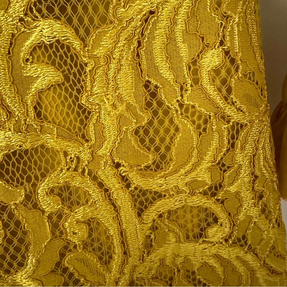 Alexis Nuray mini dress - Picture 8 of 10